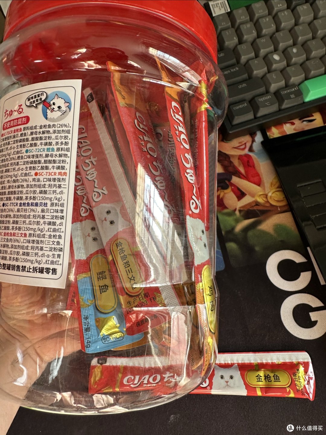 新年猫咪用品囤货指南