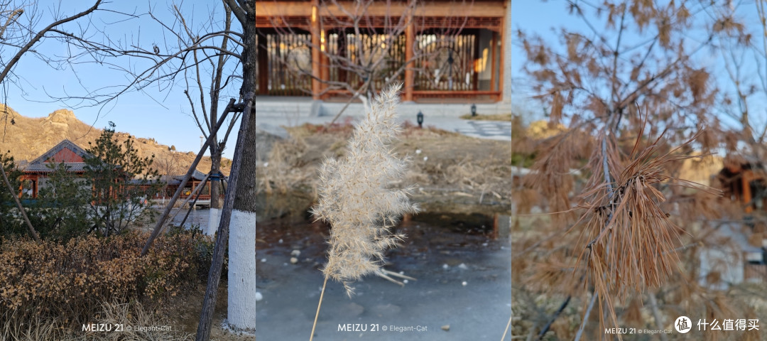 三千档唯一的直屏旗舰,两个月深度体验,魅族21值不值?