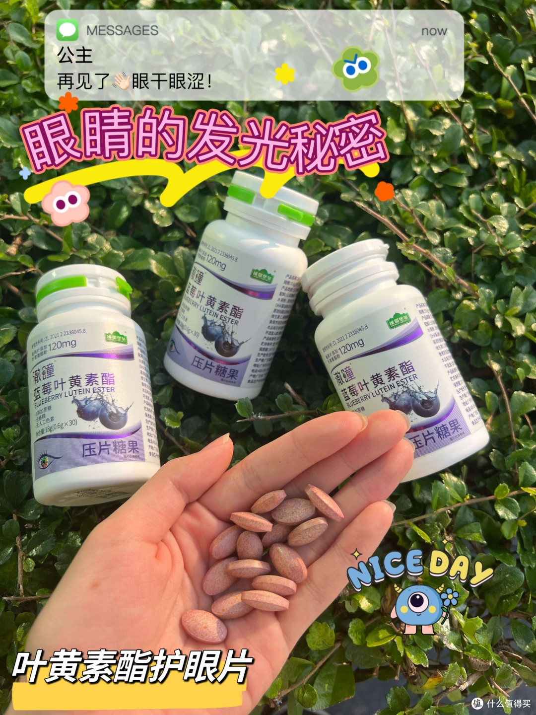 新年送礼送健康