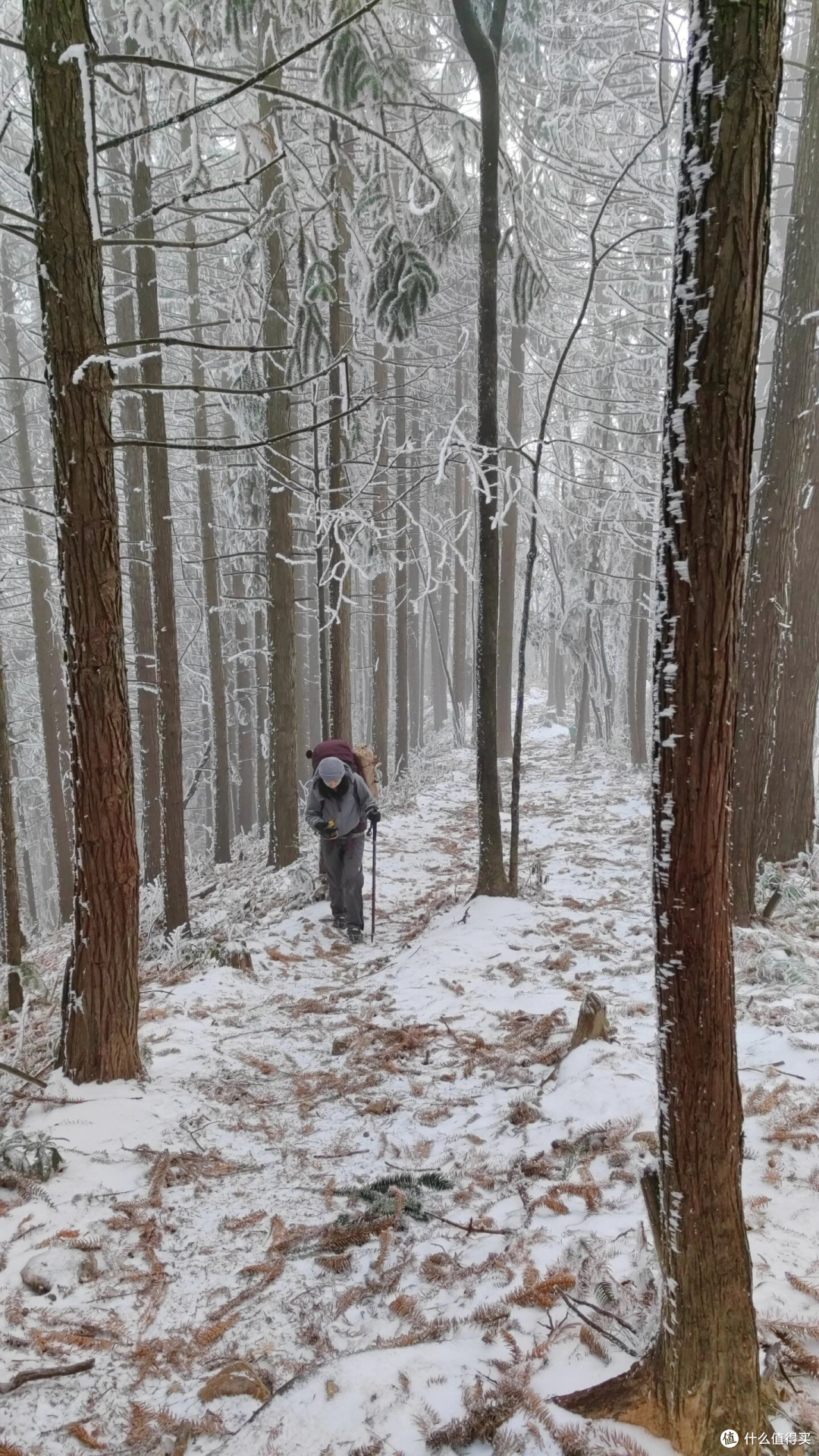 听说武功山下雪了,正好计划和元旦错峰出行,于是奔着白色武功山沈明线