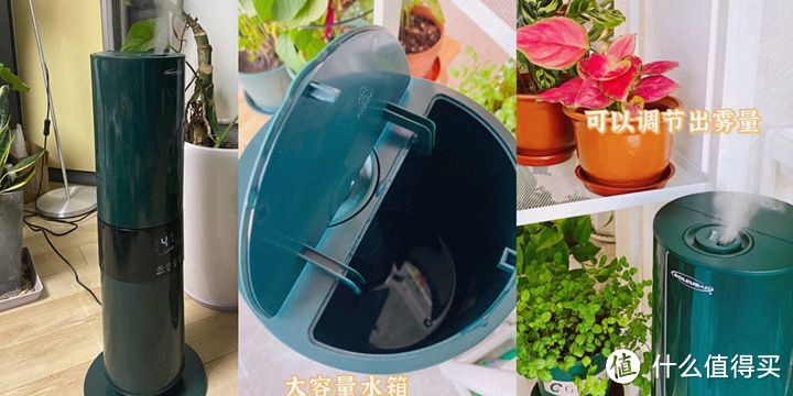 加湿器推荐攻略/加湿器哪个牌子好？有雾/无雾哪款加湿器性价比高？看完这篇不迷路