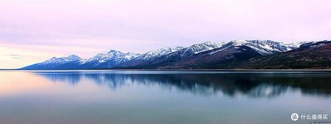 研究前沿:探究生物科技的突破与挑战