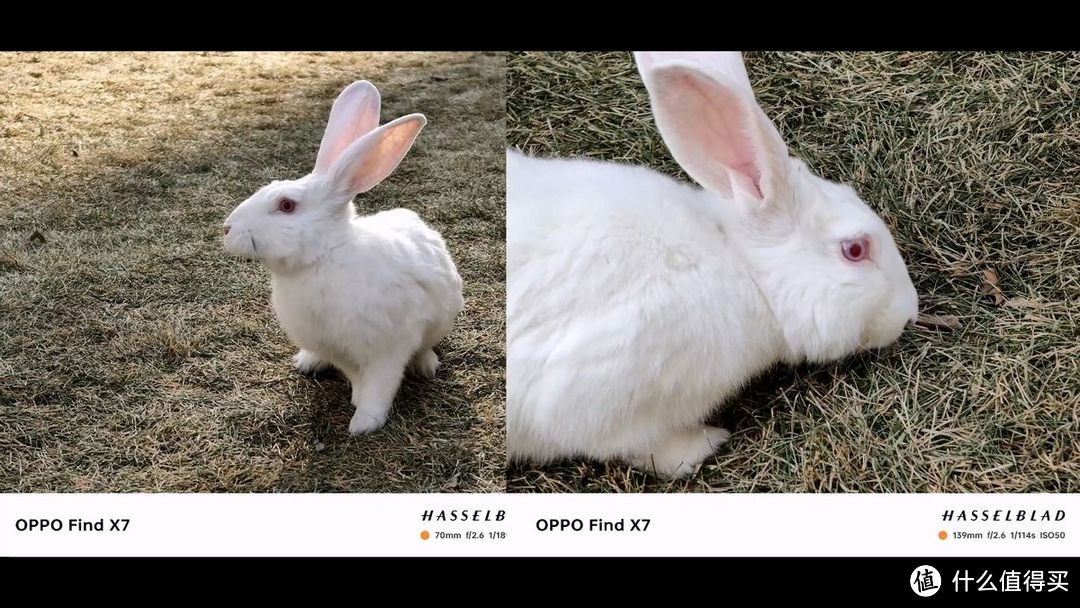 OPPO Find X7深度测评,5个亮点和2个缺点,3999能冲吗?