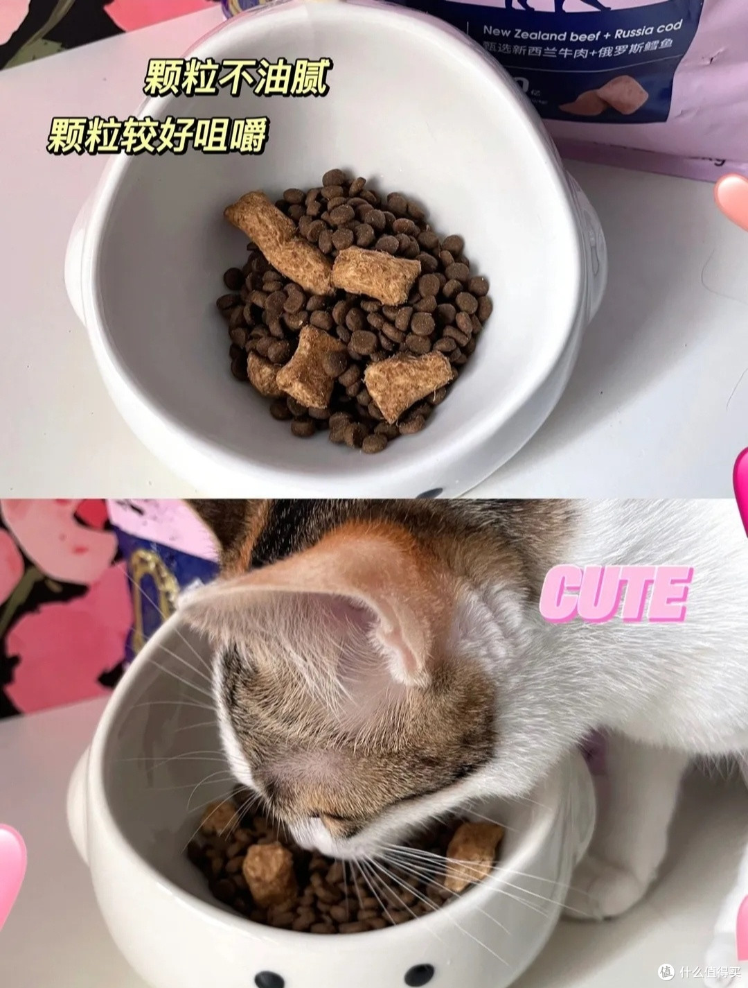 过年了,也给家的毛孩子备点年货