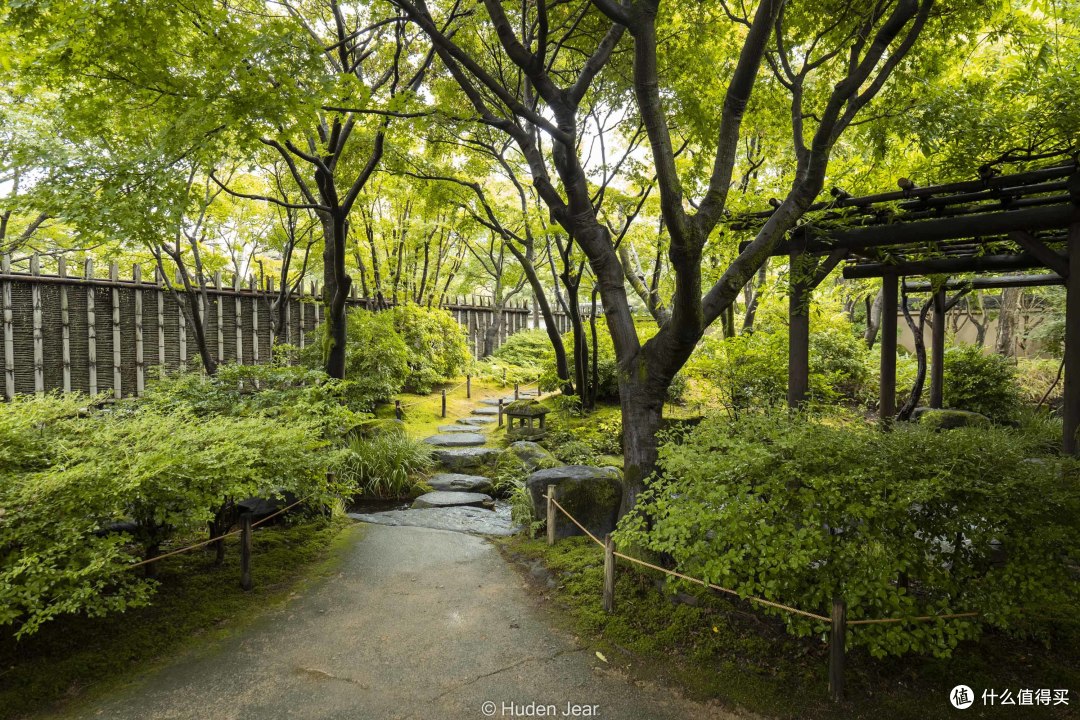 L卡口冠绝性价比之镜头！我的松下S20-60mm F3.5-5.6体验
