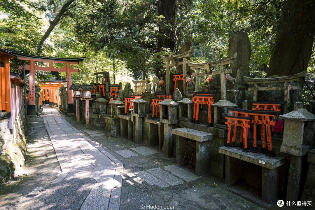 L卡口冠绝性价比之镜头！我的松下S20-60mm F3.5-5.6体验