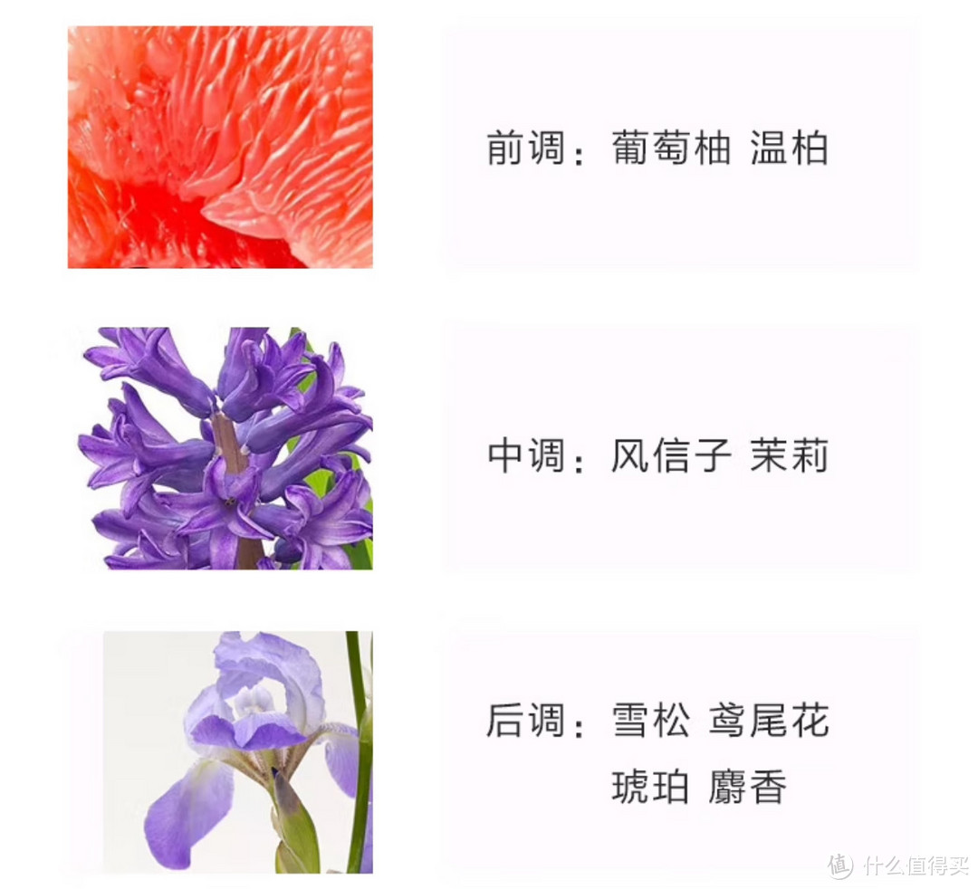 拥有香奈儿邂逅柔情淡香水,拥有一场浪漫的邂逅