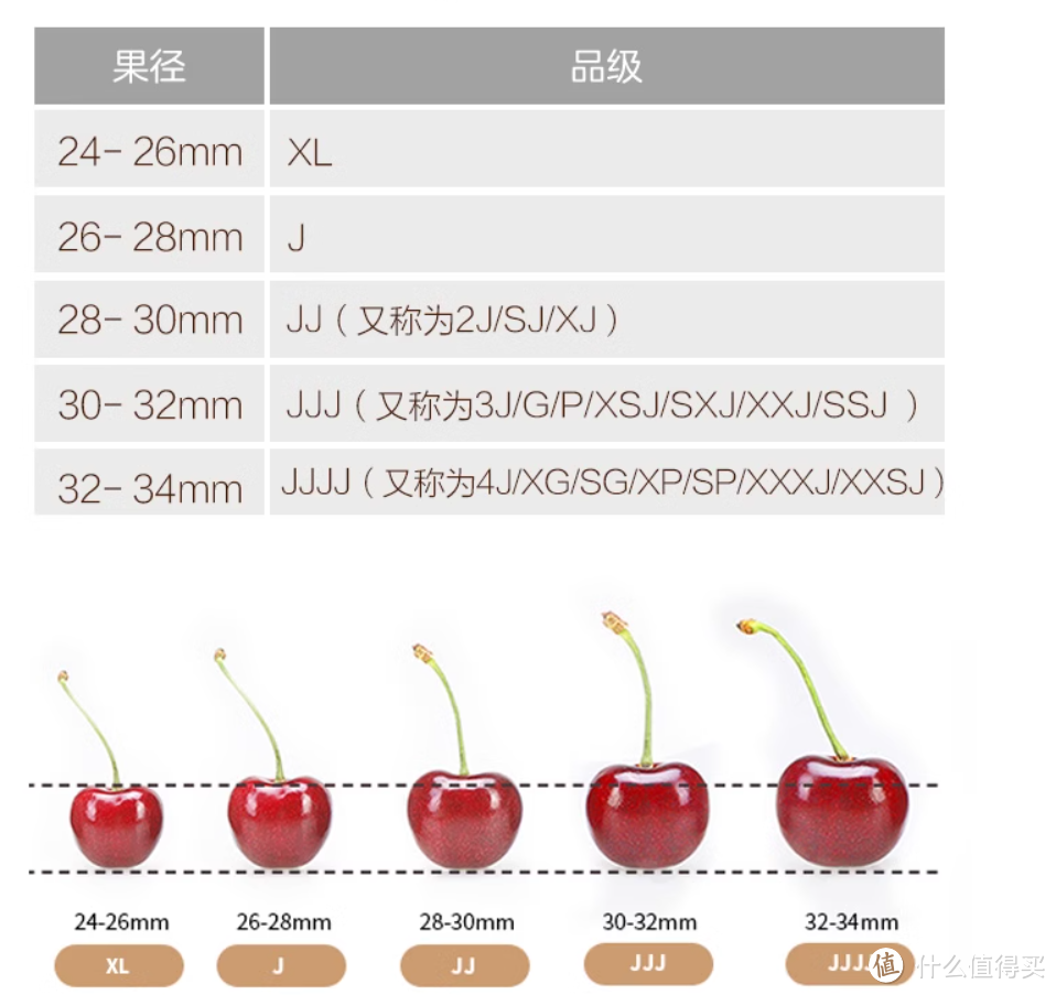 虽迟但到，20多斤车厘子下肚，2024年第一波3J大果抢鲜横评，附私藏选购攻略和稳车清单