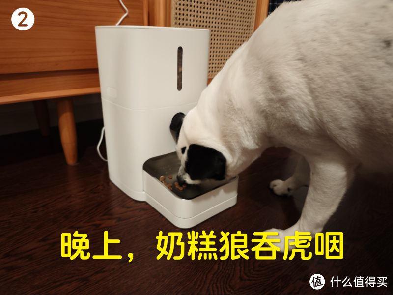 米家新宠:智能宠物喂食器2,它好不好用?