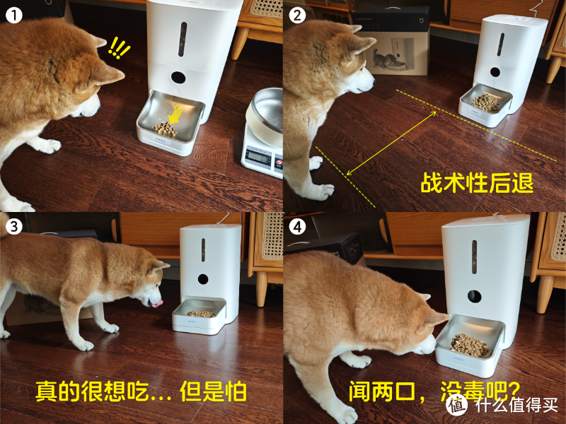米家新宠：智能宠物喂食器2，它好不好用？