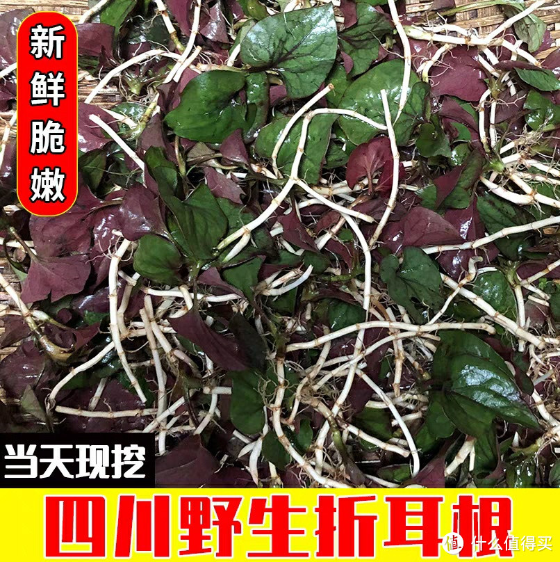 年味好菜——折耳根炒腊肉