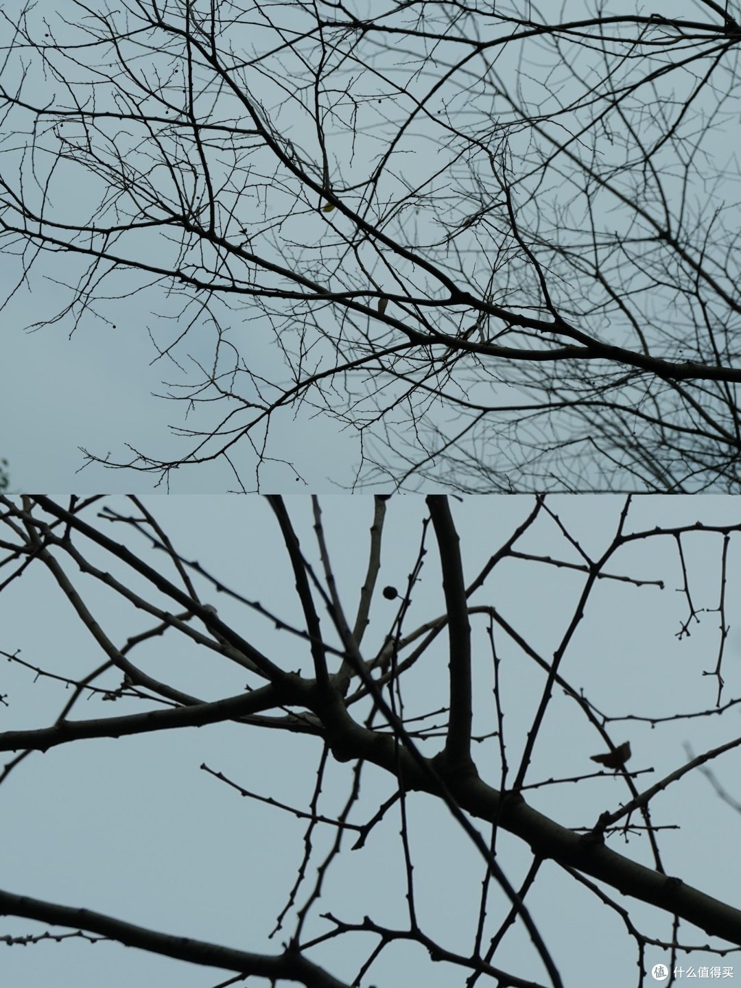 SONY 明日之镜 FE 70-200mm f/2.8 GM