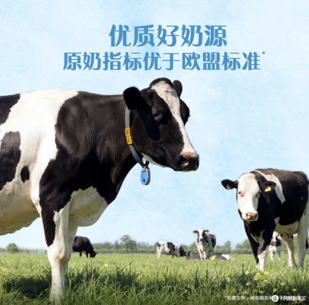 牛奶,真的让人欲罢不能