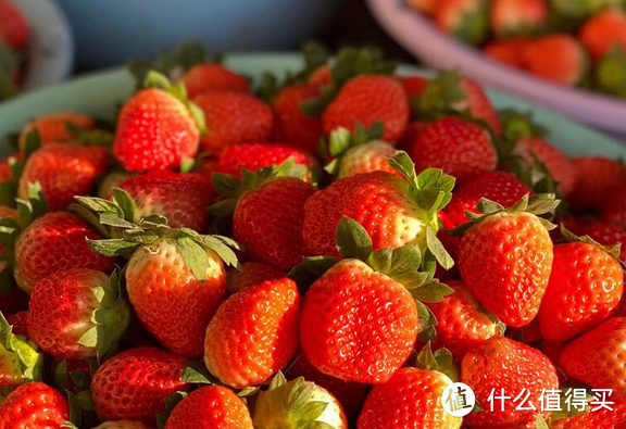 春节水果大盘点！这些美味又健康的选择你试过吗？