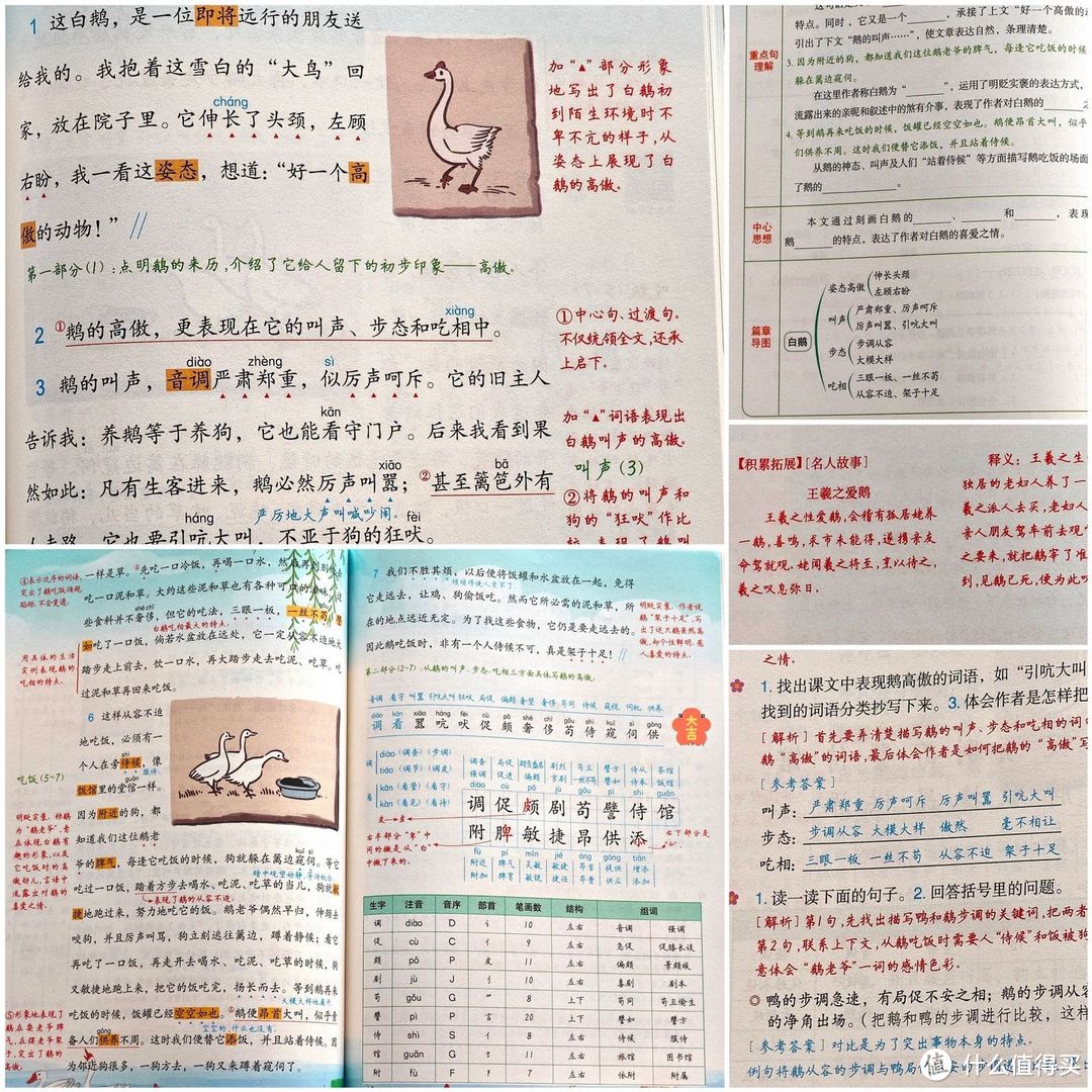 别轻易给孩子辅导功课,小心把娃带坑里!过来人吐血经验总结