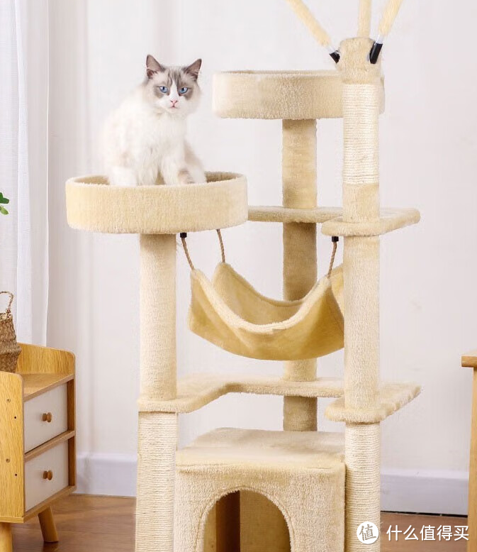 猫咪的天堂：如何选择适合自己猫咪的猫爬架