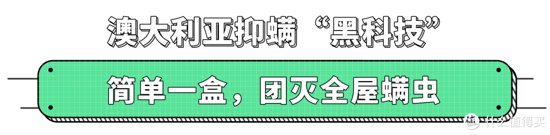 屋里有盒它，千万螨虫“集体自杀”！比太阳暴晒强多了