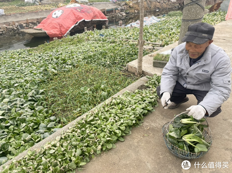 全天候守护菜地、鱼塘无忧，让家更安心！——360 户外球机 6 Ultra昼夜真彩版，震撼上市！