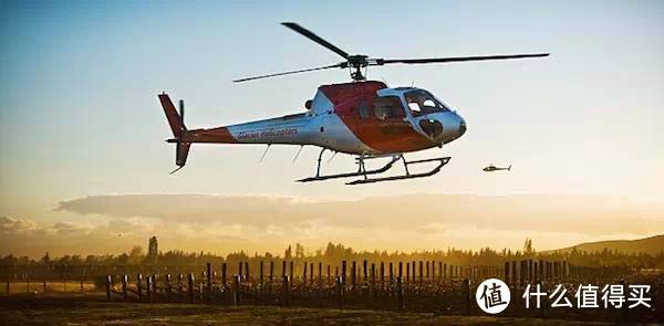 ▲ 盘旋在马尔堡葡萄园上空的直升机