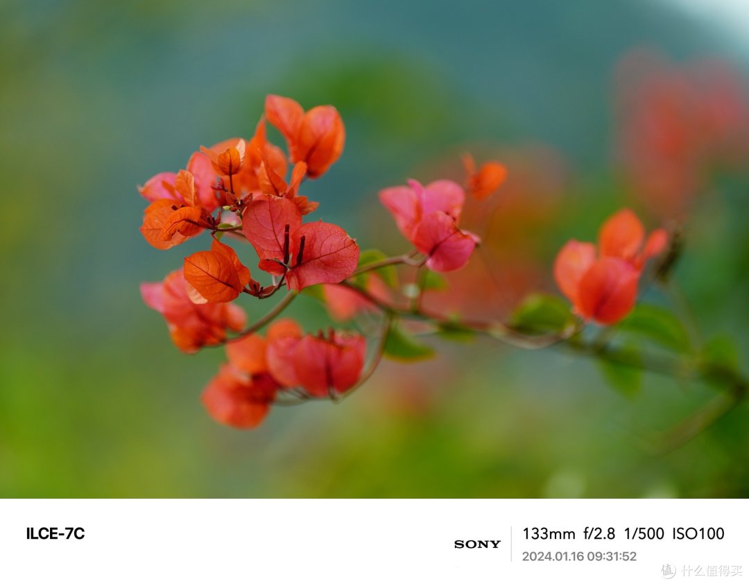 SONY 明日之镜 FE 70-200mm f/2.8 GM
