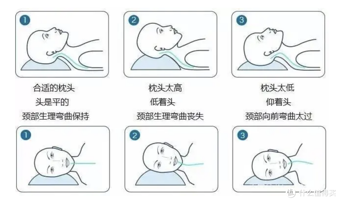 3款记忆棉枕头实测！睡眠博士、7C、亚朵3款记忆枕大测评，教你一招判断怎么买高质量枕头！