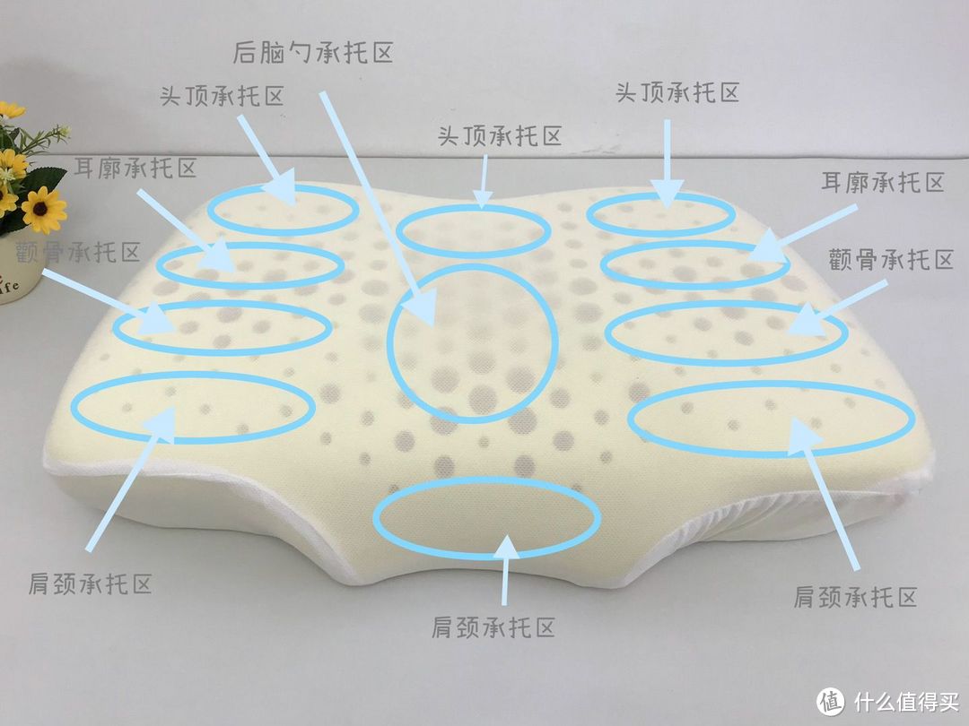 3款记忆棉枕头实测！睡眠博士、7C、亚朵3款记忆枕大测评，教你一招判断怎么买高质量枕头！