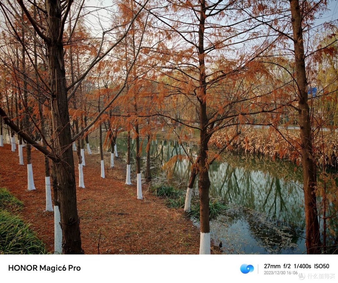当打之作,聊聊开年旗舰荣耀Magic6 Pro的影像方面