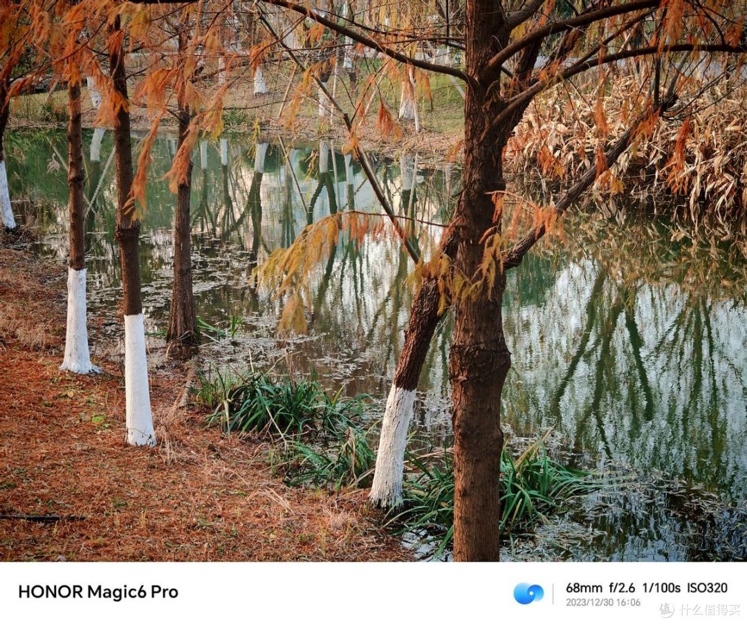 当打之作,聊聊开年旗舰荣耀Magic6 Pro的影像方面