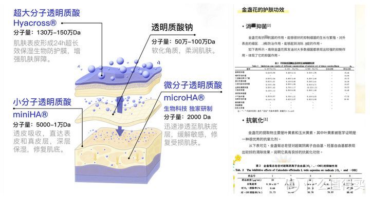 2024热门面膜推荐丨补水保湿、美白提亮、控油祛痘面膜推荐，让人无法拒绝的高性价比面膜！