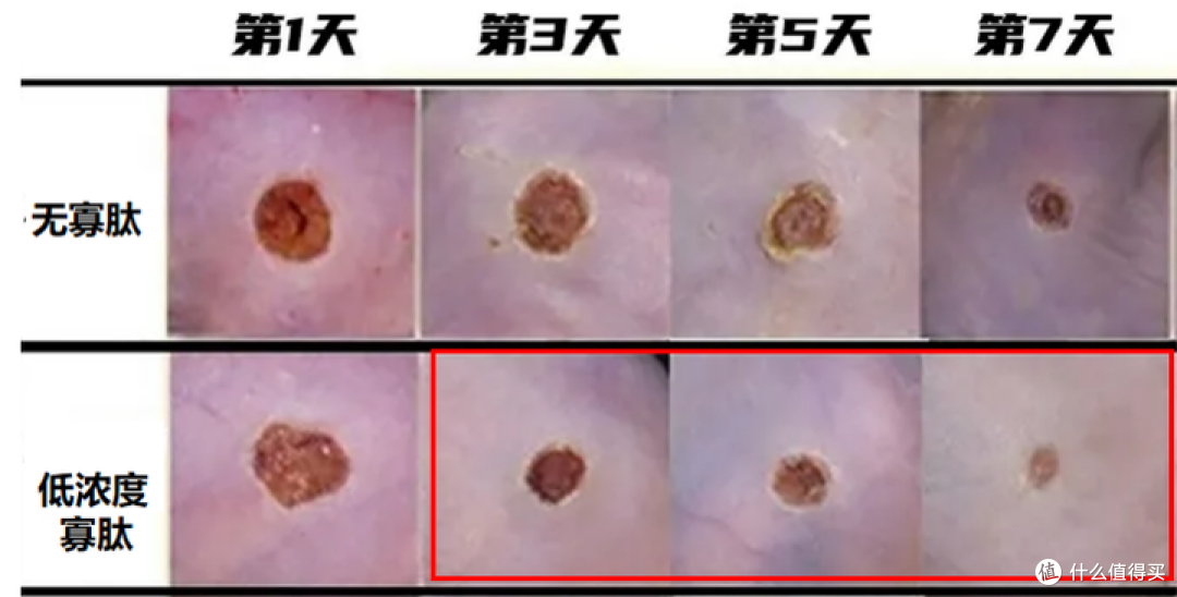 2024男士水乳测评推荐丨哪些男士水乳性价比高又好用？这8款【控油 保湿 祛痘 美白】的男士水乳好用到爆