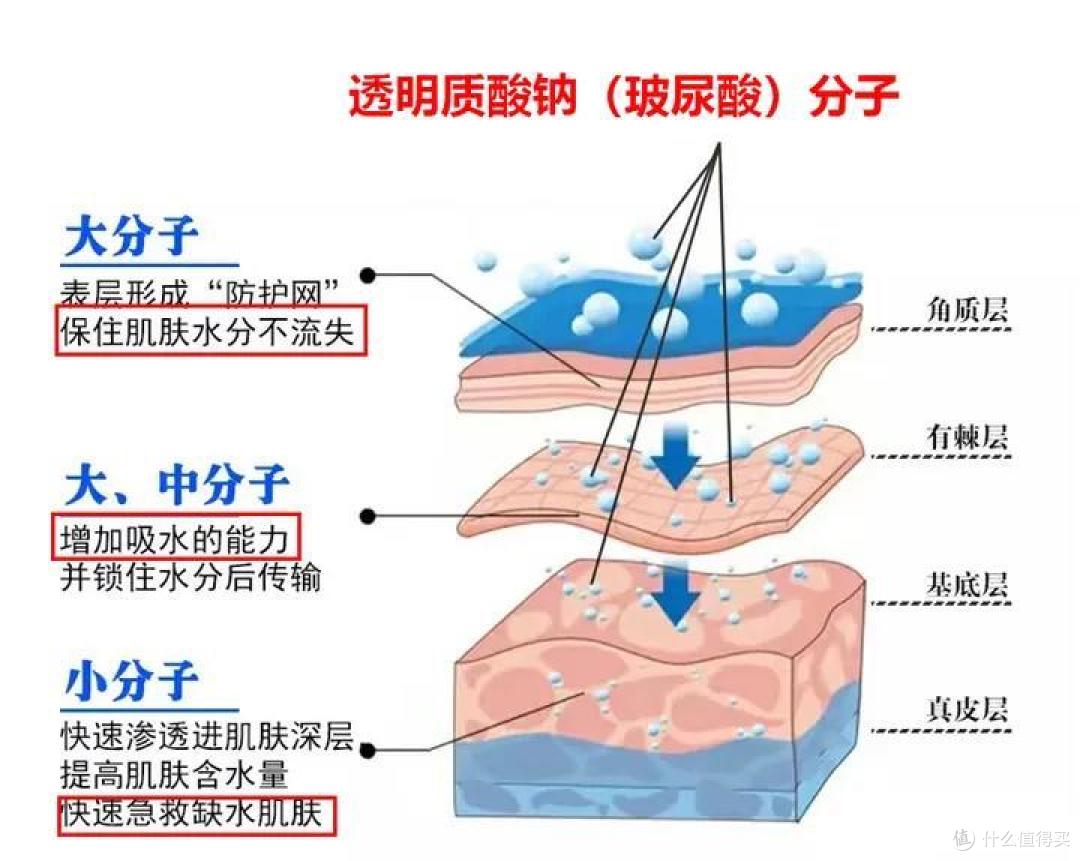 2024男士水乳测评推荐丨哪些男士水乳性价比高又好用？这8款【控油 保湿 祛痘 美白】的男士水乳好用到爆