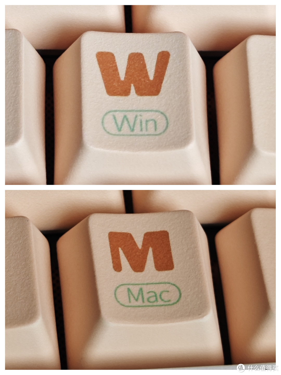 W（Windows）、M（Mac）双系统支持