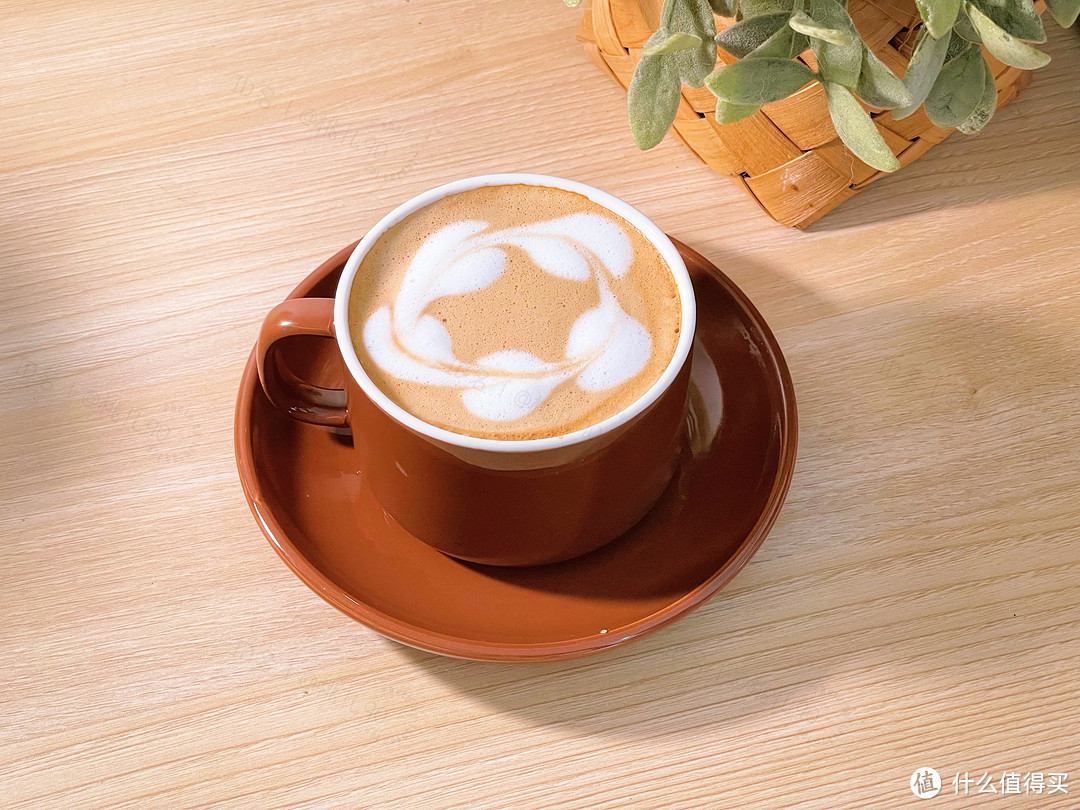 探索"咖啡自由"世界：佩罗奇意式半自动咖啡机使用体验分享