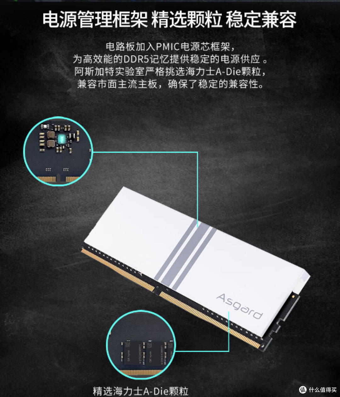 准备寒假升级装机玩家看过来——不容错过的斯加特女武神系列DDR5