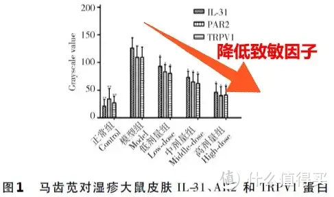 男生头皮屑好多，挠了又很痒怎么办？30天仅需3步走，头屑头皮瘙痒烦恼不再反复......