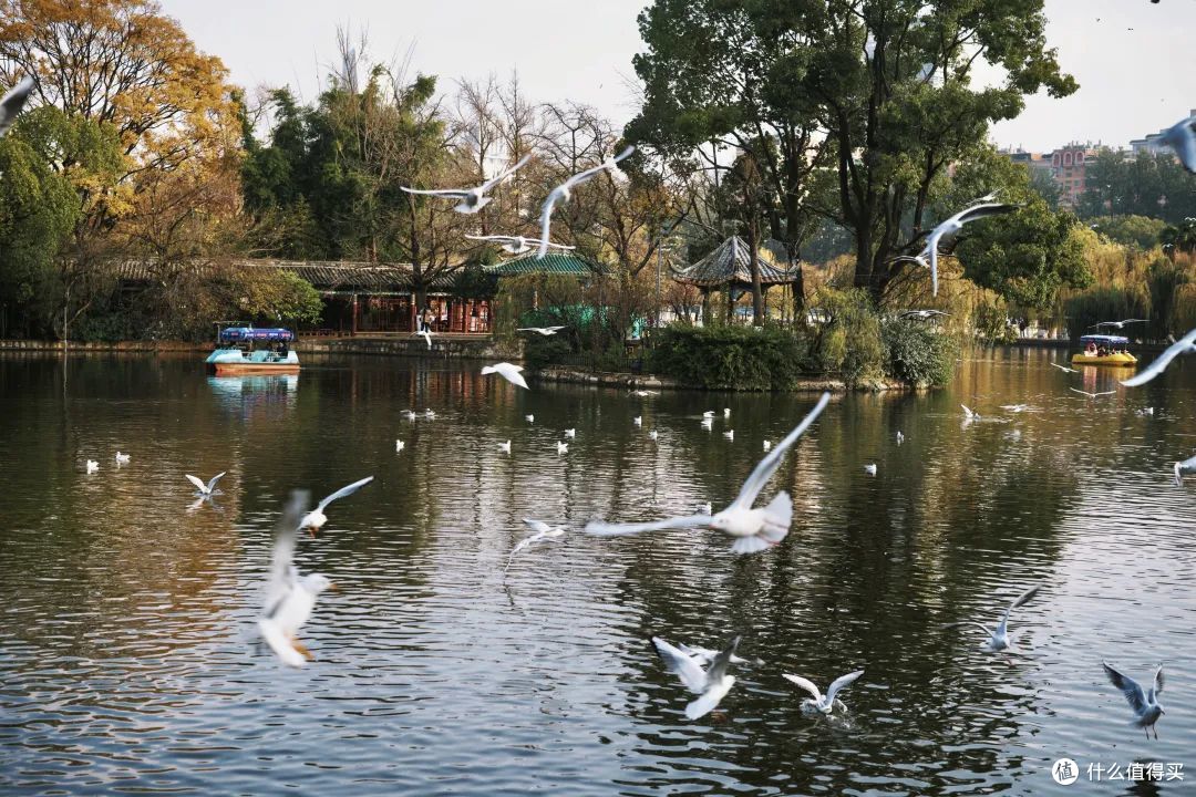 新年的第一场旅行，这么玩快乐无边！