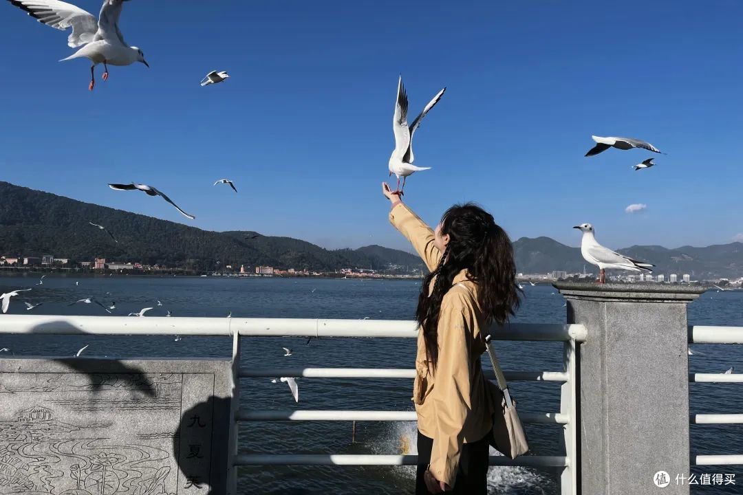 新年的第一场旅行，这么玩快乐无边！