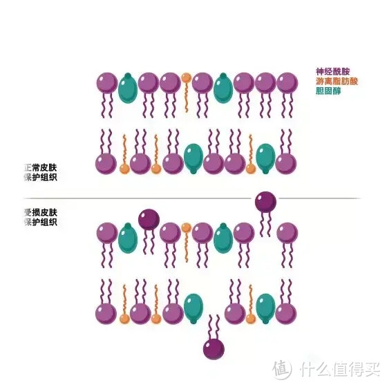 女人40、50、60，我们的皮肤在怎样变化