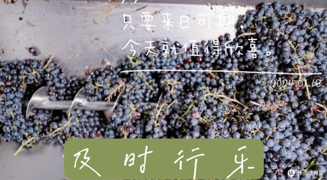 将进酒,杯莫停