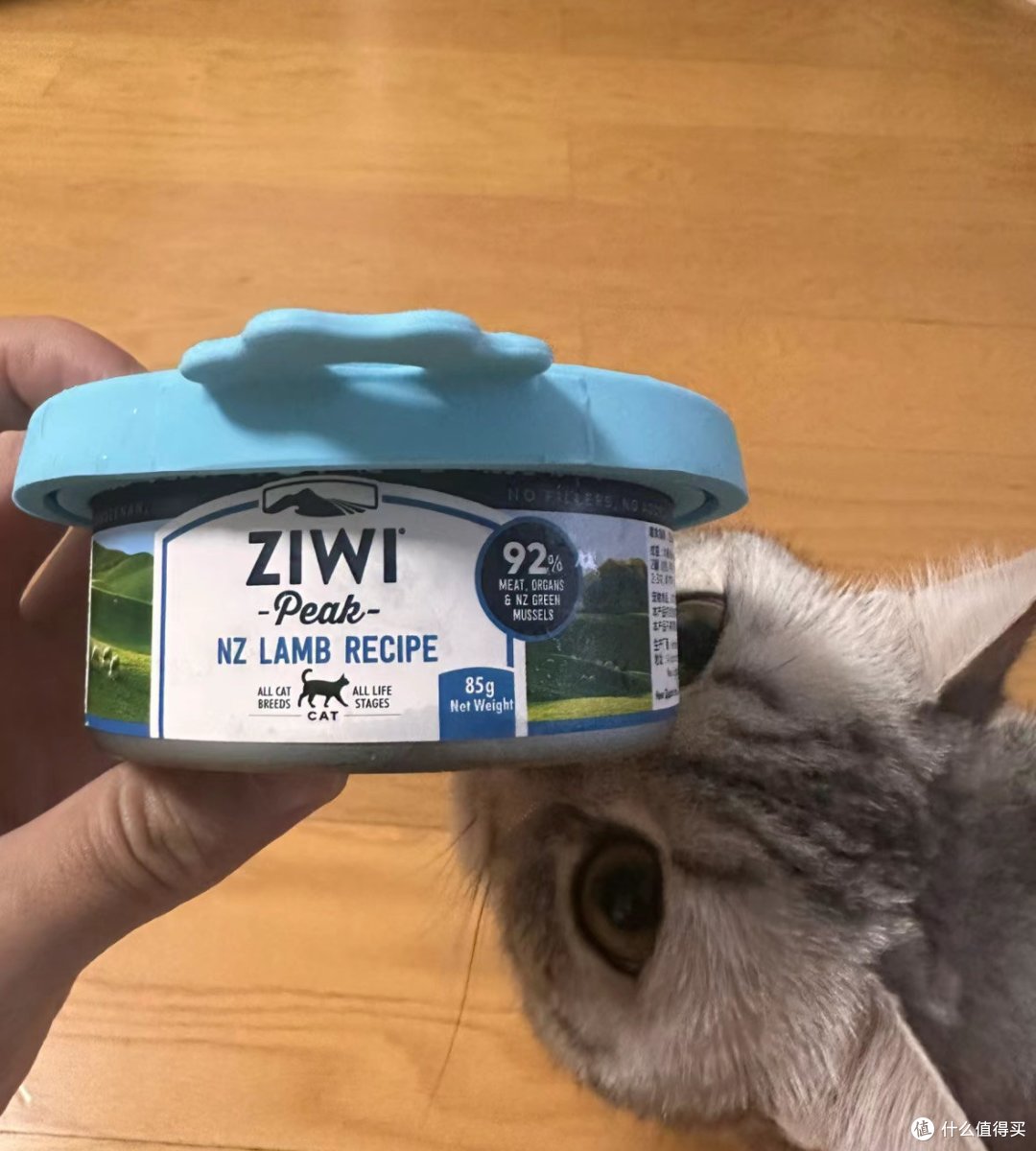 巅峰猫罐头给家里的猫猫安排上