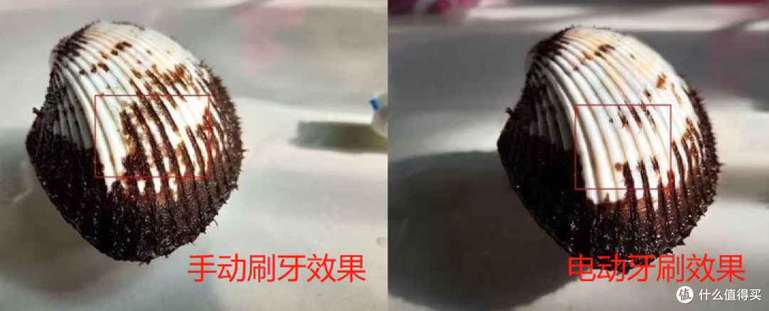 儿童使用电动牙刷好还是手动牙刷好?提防三大弊端坏处