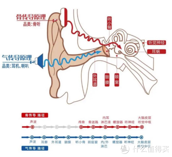 高性价比骨传导耳机——戴灵S600使用体验分享