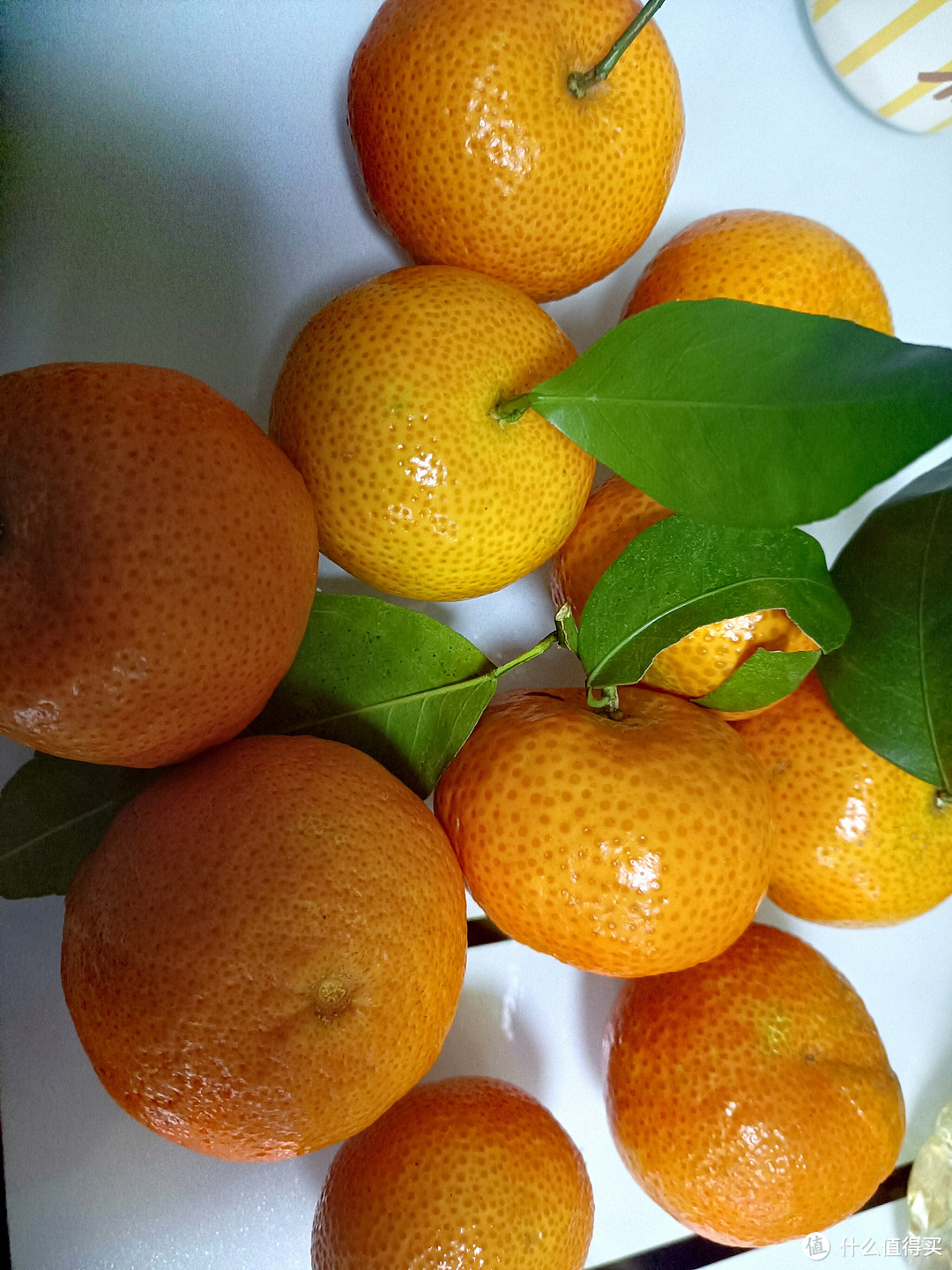 冬天的橘子