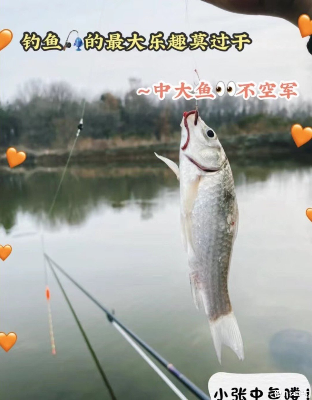钓鱼技巧分享:避免空手而归的策略