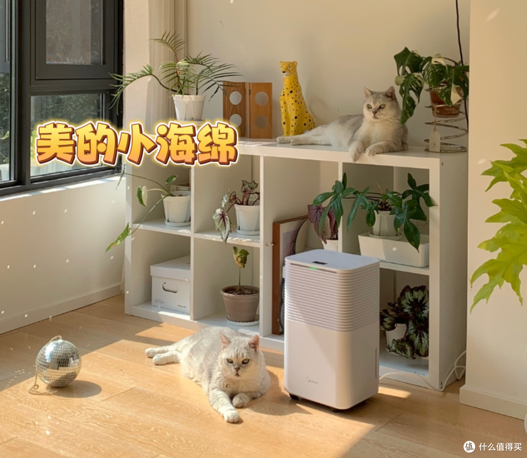 除湿机推荐:除湿机怎么选?美的、松京、百奥、海尔等5款热门除湿机哪款好?