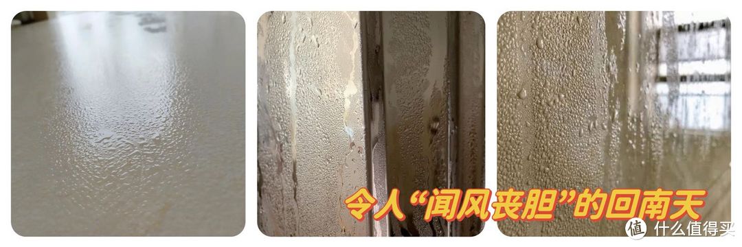 除湿机推荐:除湿机怎么选?美的、松京、百奥、海尔等5款热门除湿机哪款好?