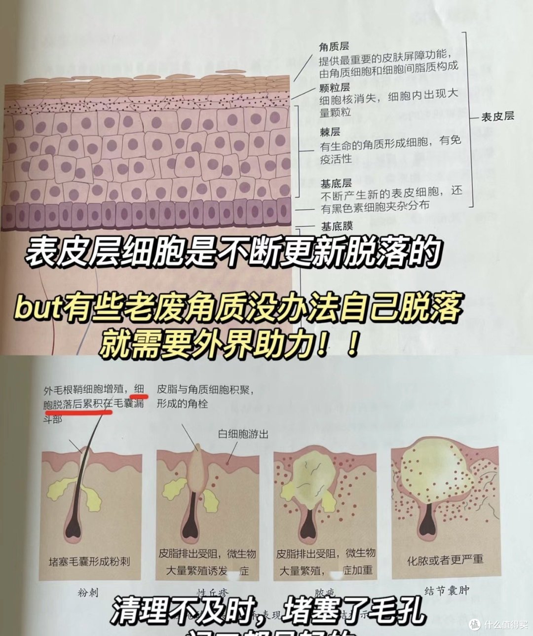 半套下去我妈都说我皮肤变好了.... 极光水乳太上头了!