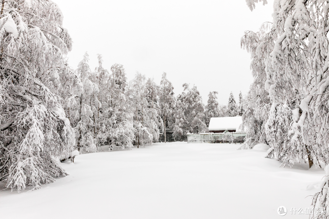 追极光！穿越雪国！她冬天浪漫过头了