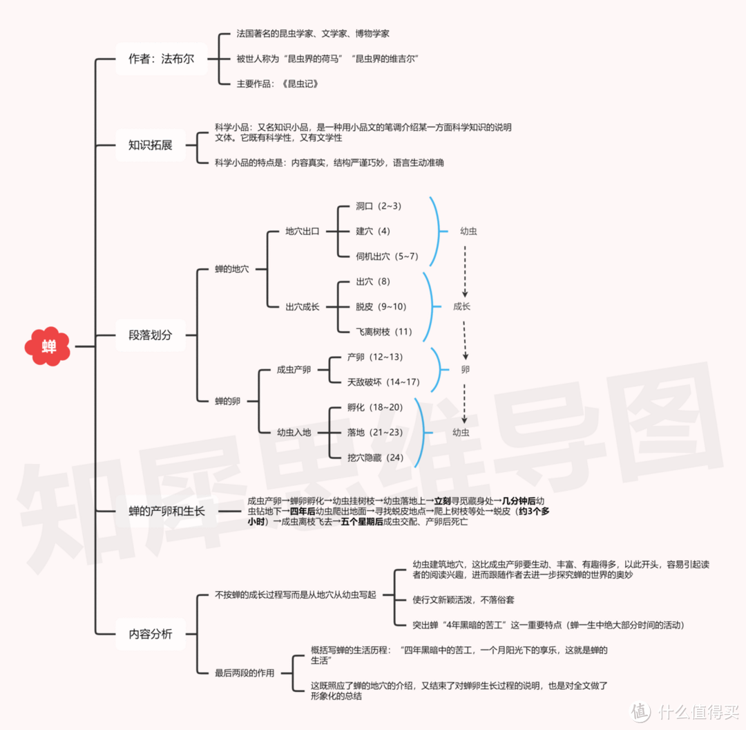 昆虫记思维导图,高清脑图模板分享