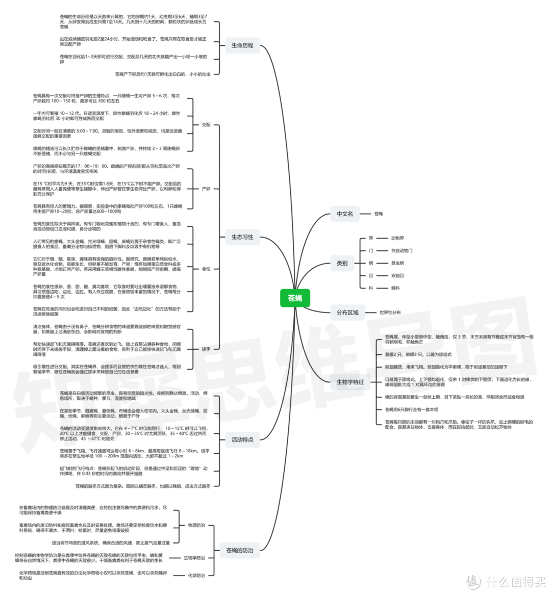 昆虫记思维导图,高清脑图模板分享